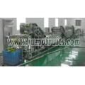 Passion fruit Aloe Mango Processing Line